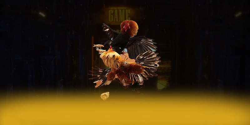 988bet – Nhà cái đáng chơi nhất, được người chơi yêu thích. 988bet – Nhà cái đáng chơi nhất, được người chơi yêu thích.