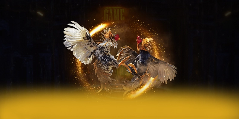 DAGA88 – Cổng trò chơi được đánh giá cao, được cộng đồng game thủ tin tưởng.