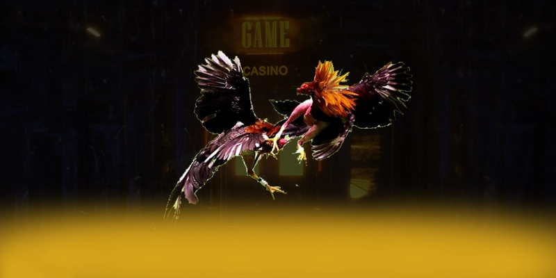 DAGA88 - Sảnh game được cộng đồng yêu thích nhất hiện nay – Khám phá DAGA88