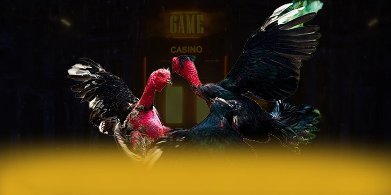 Khám phá ngay SA88 - Trang game được yêu thích nhất 2025
Khám phá ngay SA88 - Trang game được yêu thích nhất 2025