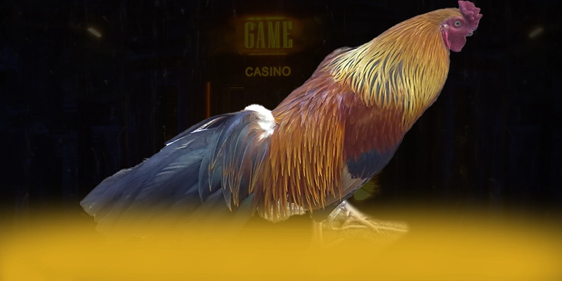 Độ uy tín và bảo mật