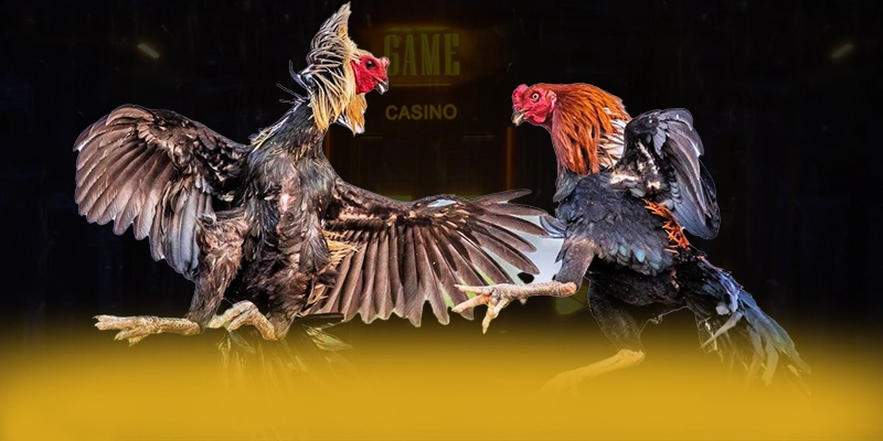 Tài xỉu online - Cổng giải trí với phần thưởng siêu lớn tại Việt Nam – Săn ngay Tài xỉu online