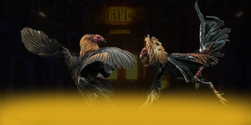 ĐÁ GÀ TRỰC TIẾP - Cổng giải trí hấp dẫn tại Việt Nam – Tìm hiểu ĐÁ GÀ TRỰC TIẾP