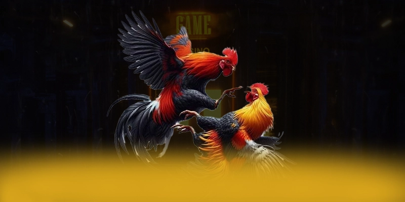 9Bet - Cổng trò chơi đẳng cấp trên thị trường 9Bet - Cổng trò chơi đẳng cấp trên thị trường