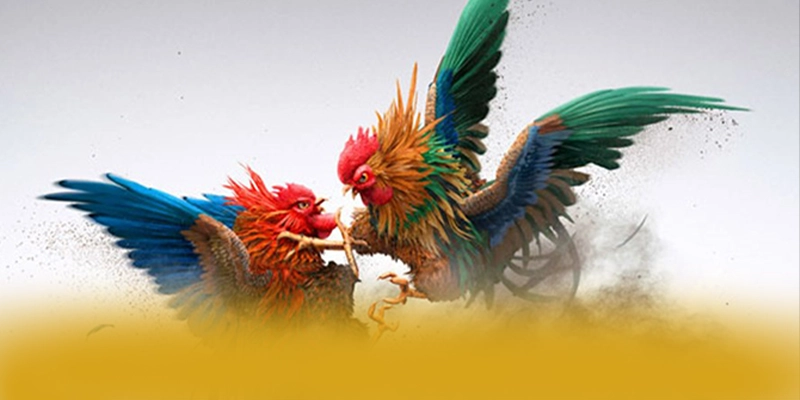 conga6789 – Sân chơi được nhiều người chơi lựa chọn, được cộng đồng đánh giá tích cực.