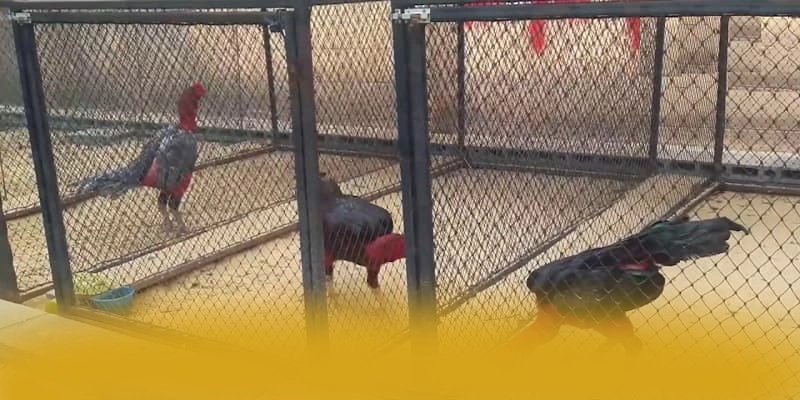 
Khám phá hành trình của WIN79 - Sân chơi hàng đầu Việt Nam hiện nay
