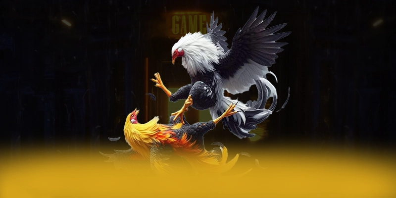 [THUONG_HIEU] - Sảnh game với chính sách tặng thưởng đẳng cấp 2025 – Tìm hiểu khuyến mãi độc quyền của [THUONG_HIEU]