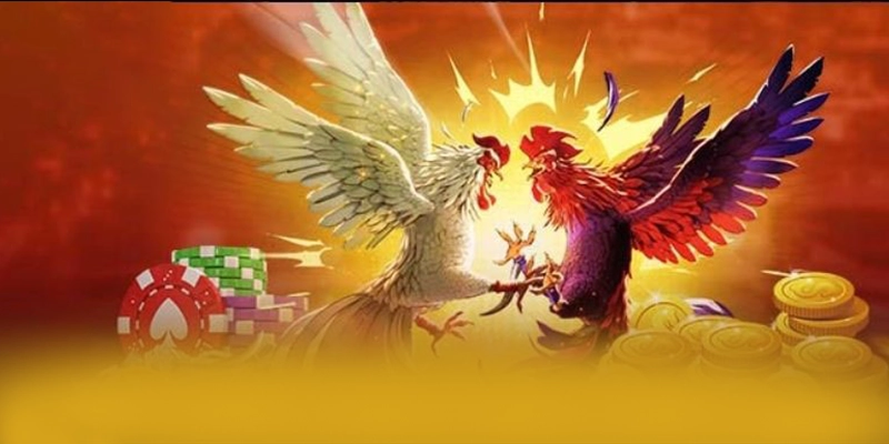 KKWIN - Thương hiệu game trực tuyến sở hữu top trò chơi nổi bật trên thị trường – Khám phá thế giới giải trí tại KKWIN